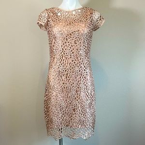 Onyx Night Lace Dress Champagne Pink Size 4
